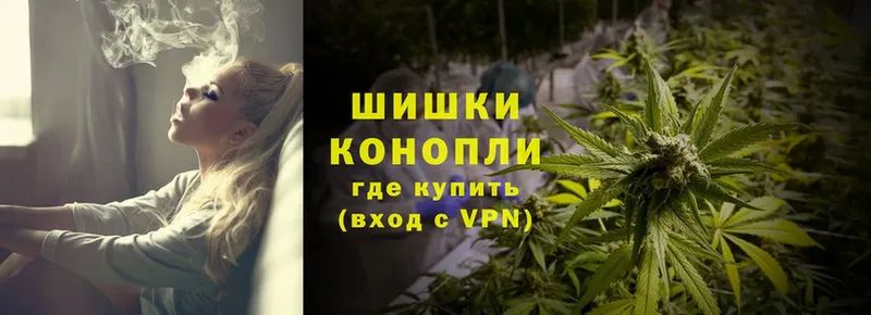 Бошки марихуана Ganja  Мураши 